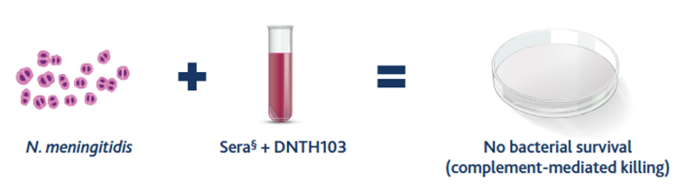 Meningitis risk data
